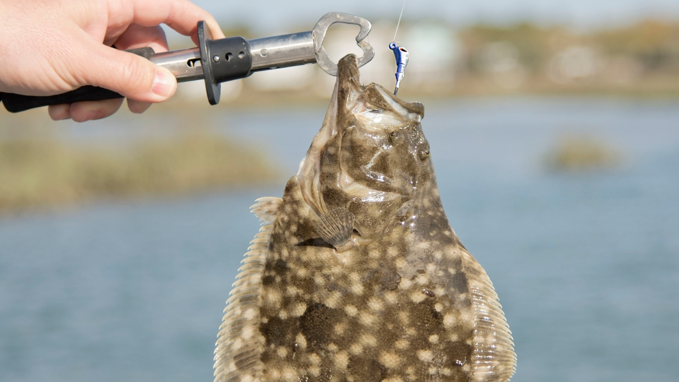 Fishing in St Augustine Florida